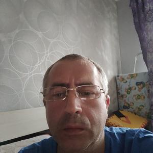 Роман, 45 лет, Новодвинск