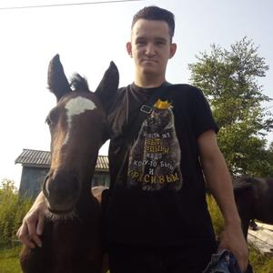 Никита, 27 лет, Шахтерск