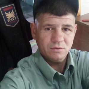 Евгений, 43 года, Зеленогорск
