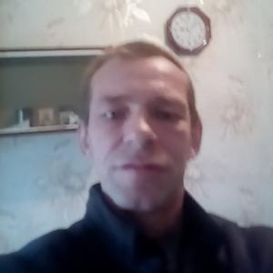Сергей, 46 лет, Белозерск