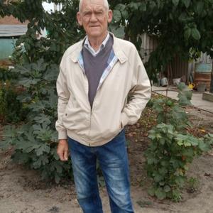 Парни в Эльхотово: Владимир, 69 - ищет девушку из Эльхотово