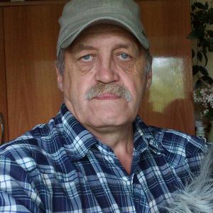 Григорий, 67 лет, Красноярск