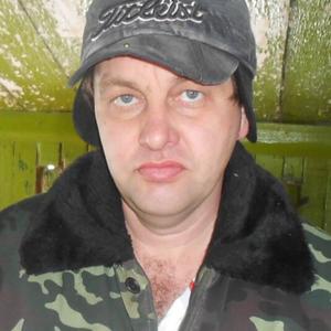 Андрей Достовалов, 53 года, Рубцовск