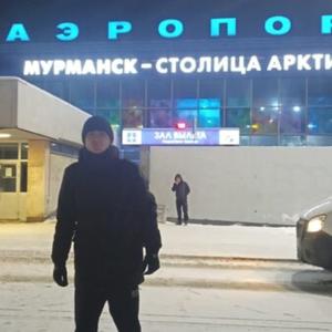 Станислав, 32 года, Мурманск