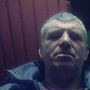 Иван Каменев, 59 лет, Электрогорск