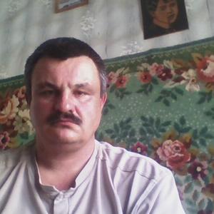 Алексей Солнцев, 44 года, Иваново