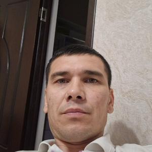 Марат Рузимов, 37 лет, Ташкент