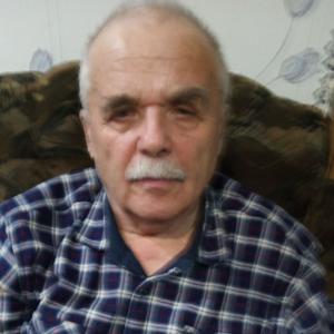 Николай, 73 года, Тула