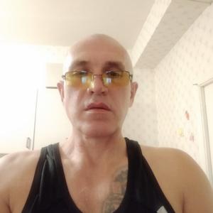 Александр Стопкин, 57 лет, Балабаново