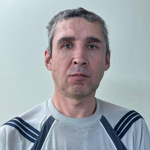 Аркадий, 47 лет, Казань