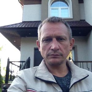 Дмитрий, 47 лет, Абрамцево