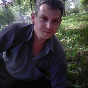 Андрей, 44 года, Ростов-на-Дону