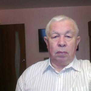 Владиир, 74 года, Нижний Новгород
