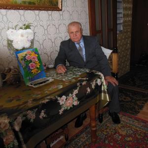 Александр, 69 лет, Казань