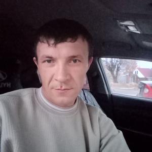 Иван, 39 лет, Серпухов