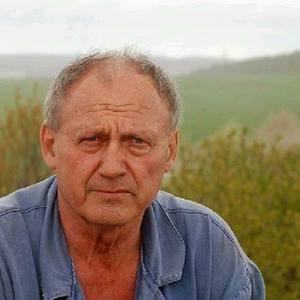 Борис, 64 года, Волоколамск