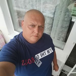 Денис, 44 года, Нижний Тагил