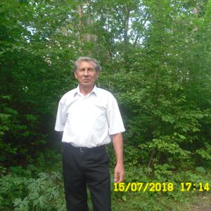 Владимир, 73 года, Миасс