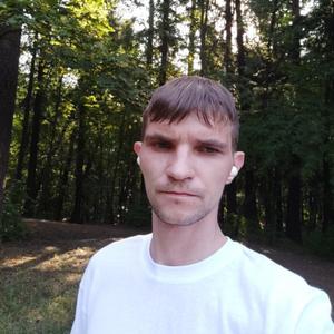 Дмитрий, 34 года, Кировск