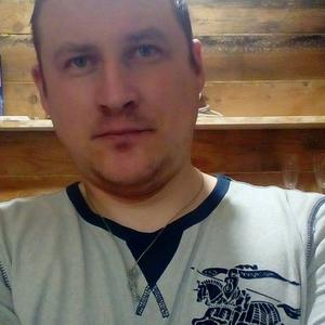 Алексей, 38 лет, Завьялово