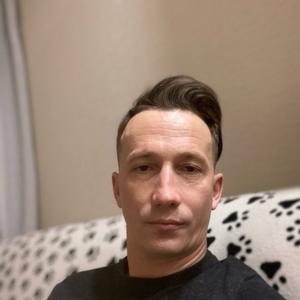 Алексей, 37 лет, Мытищи