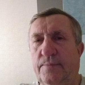 Анатолий, 65 лет, Зеленогорск