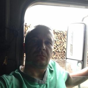 Дмитрий, 41 год, Котлас