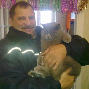 Николай, 72 года, Красноярск