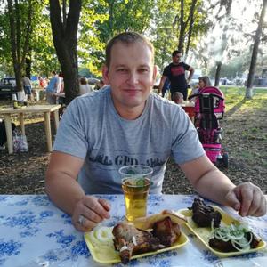 Андрей, 43 года, Соликамск