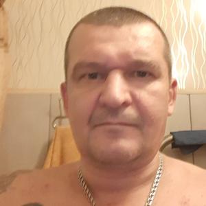 Андрей, 41 год, Нижний Тагил