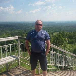 Николай, 44 года, Серов