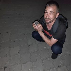 Вячеслав, 41 год, Новочеркасск