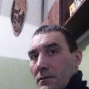 Николай Ильин, 45 лет, Плесецк