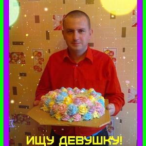Алексей, 41 год, Димитровград