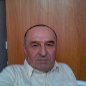 Евгений, 73 года, Дедовичи