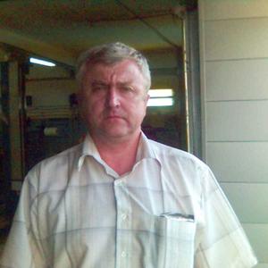 Вячеслав Забегаев, 63 года, Электросталь