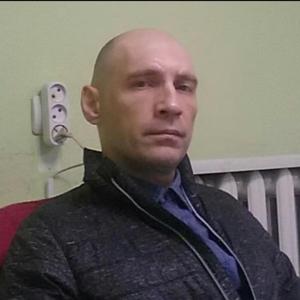 Алексей, 43 года, Кольчугино