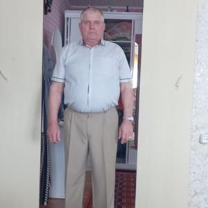 Николай, 70 лет, Братск