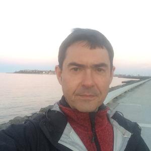 Vladimir, 44 года, Белград