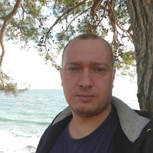 Андрей, 43 года, Боровичи
