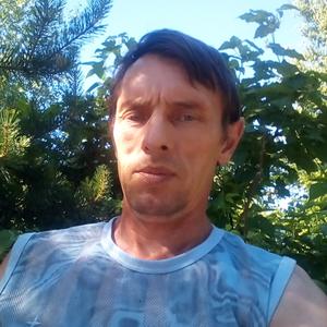 Юрий, 51 год, Киселевск