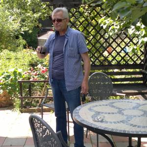 Михаил, 66 лет, Воскресенск