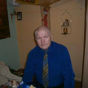 Евгений Попов, 72 года, Комсомольск-на-Амуре