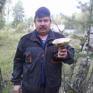 Михаил, 59 лет, Электросталь