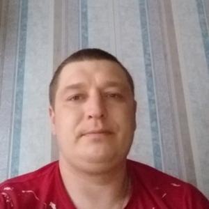 Дима, 37 лет, Ковдор