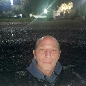 Дмитрий, 42 года, Изобильный