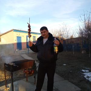 Андрей, 40 лет, Камышин