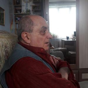 Анатолий, 81 год, Полярные Зори