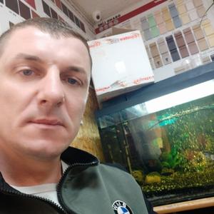 Дмитрий, 43 года, Шахты