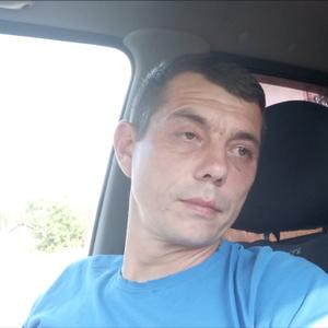 Алексей Кашин, 42 года, Александров